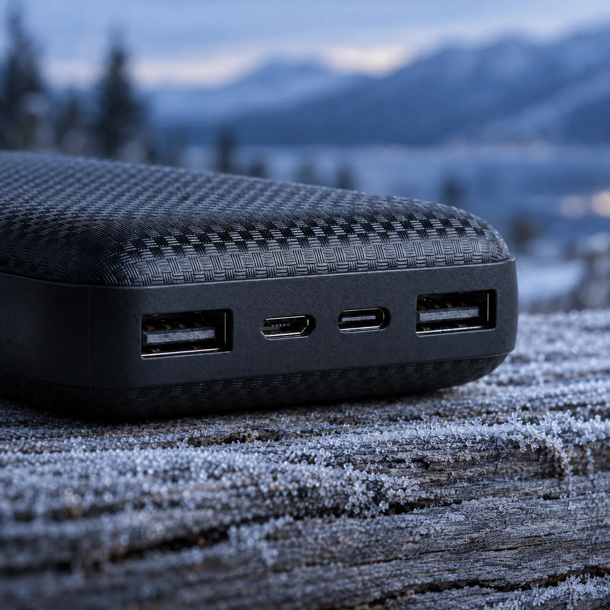 Ports of the 20,000 mAh power bank: two USB-A, USB-C and Micro-USB, on frosted larch wood